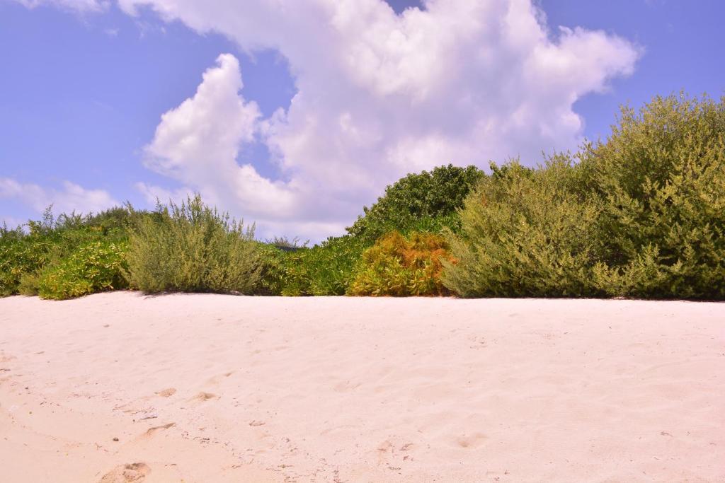 Newtown Inn Hulhumale Bagian luar foto